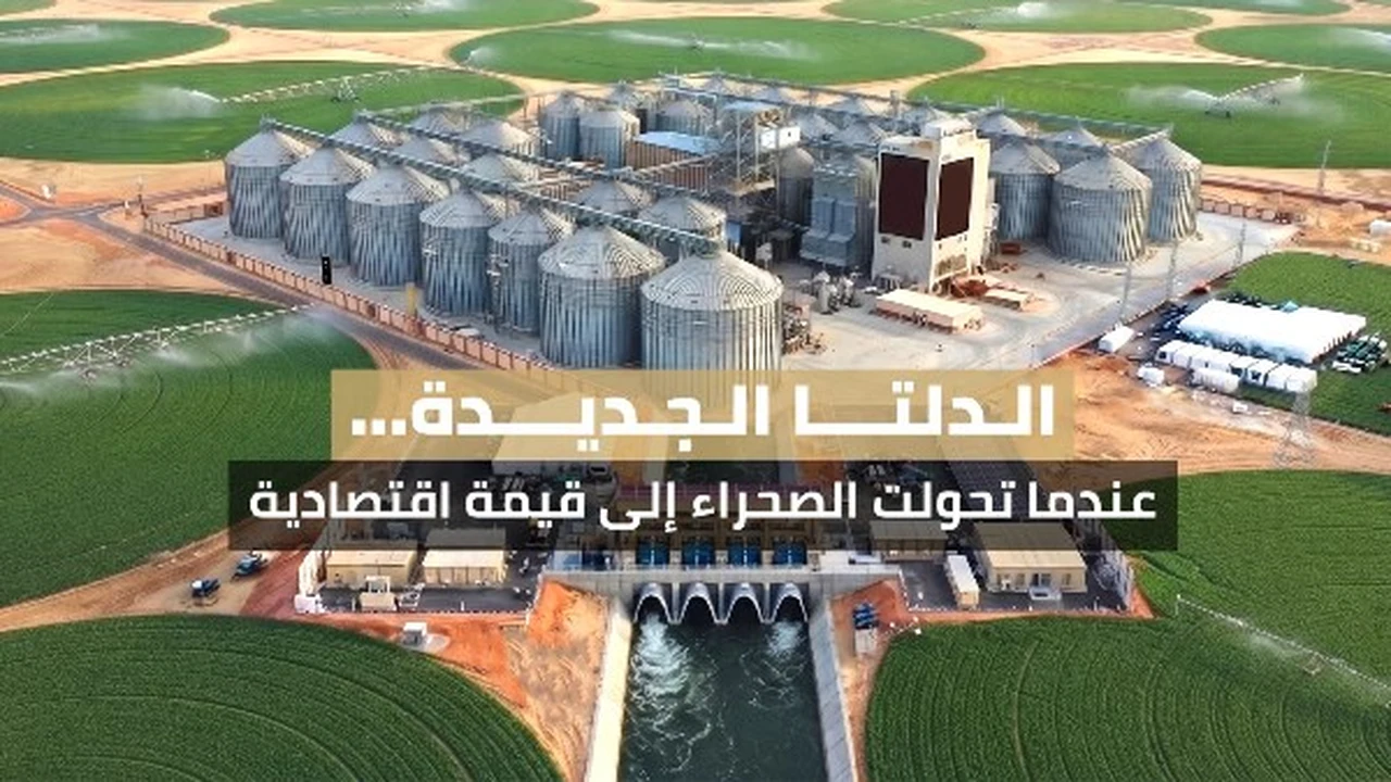 مشروع قانون جهاز مستقبل مصر يقترح صندوقين جديدين لأهداف استثمارية جديدة